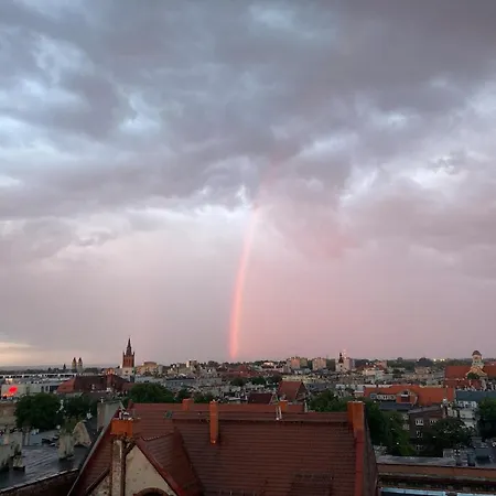 Atmospheric With A View Of The